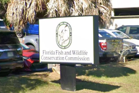 Toxic Mothball Mystery On St. Pete Beach Has Wildlife Cops On Patrol