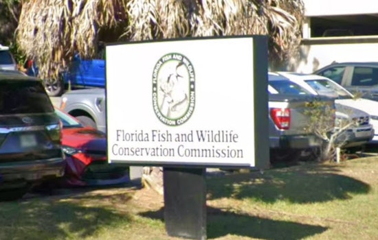 Toxic Mothball Mystery On St. Pete Beach Has Wildlife Cops On Patrol