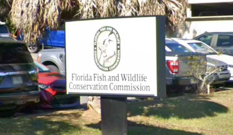 Toxic Mothball Mystery On St. Pete Beach Has Wildlife Cops On Patrol