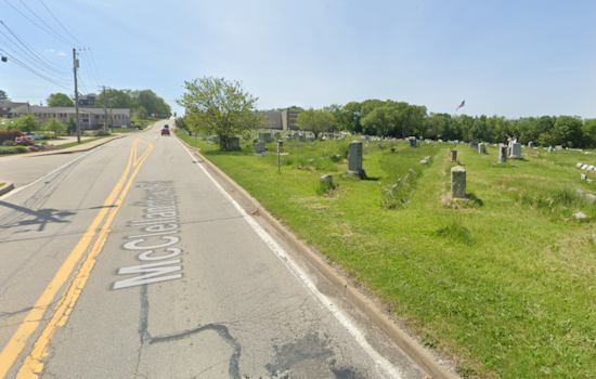 Tree Job Turns Uniontown Cemetery Into Debris Field, Families Demand Answers