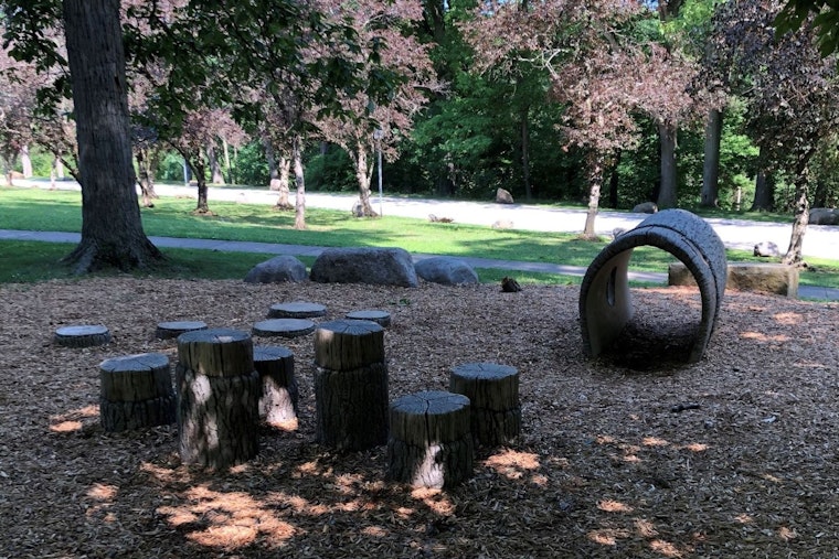 Tree War Erupts in Shaker Heights Over Horseshoe Lake Makeover