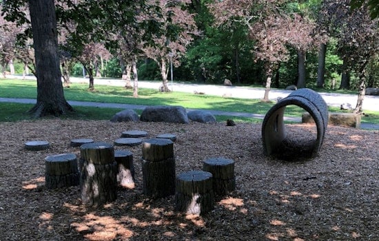 Tree War Erupts in Shaker Heights Over Horseshoe Lake Makeover