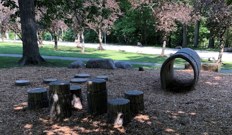 Tree War Erupts in Shaker Heights Over Horseshoe Lake Makeover