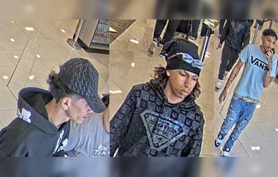 Trio Sought In Rough Macy's Heist At The Domain