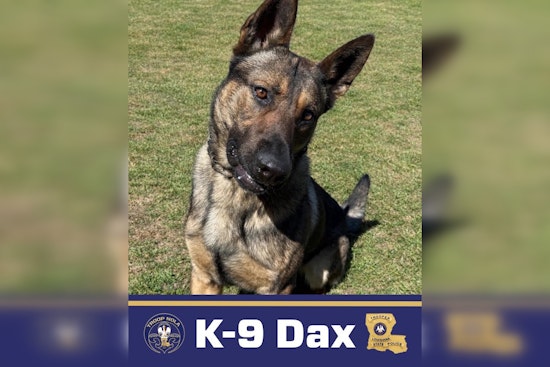 Troop NOLA’s Hero Hound Dax Runs Down Suspects Across New Orleans