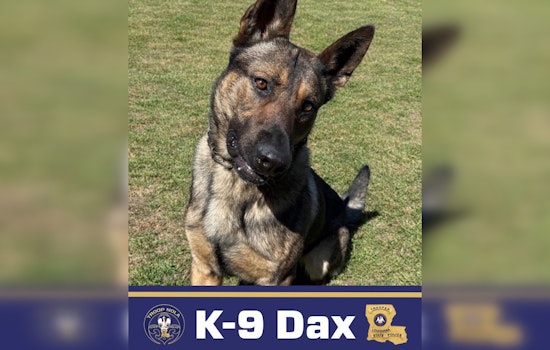 Troop NOLA’s Hero Hound Dax Runs Down Suspects Across New Orleans