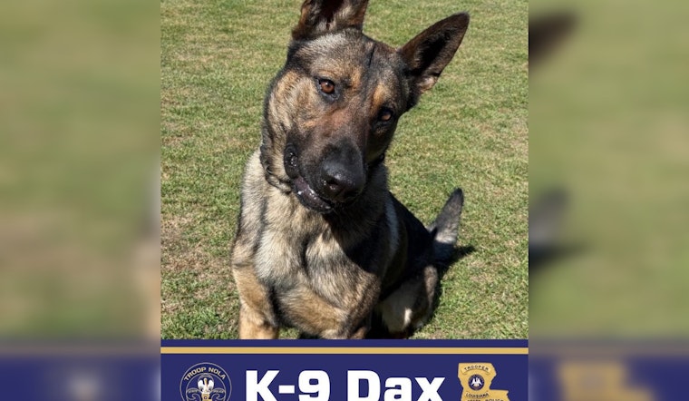 Troop NOLA’s Hero Hound Dax Runs Down Suspects Across New Orleans