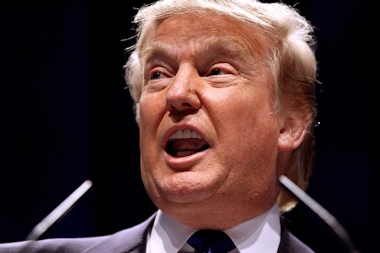 Trump Plucks Ohio Election-Law Insider For Coveted Cleveland Judge Nomination
