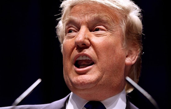 Trump Plucks Ohio Election-Law Insider For Coveted Cleveland Judge Nomination
