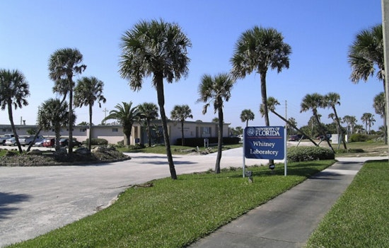 UF Splashes Out $41 Million on Marineland Marine Lab and Sea Turtle Hospital