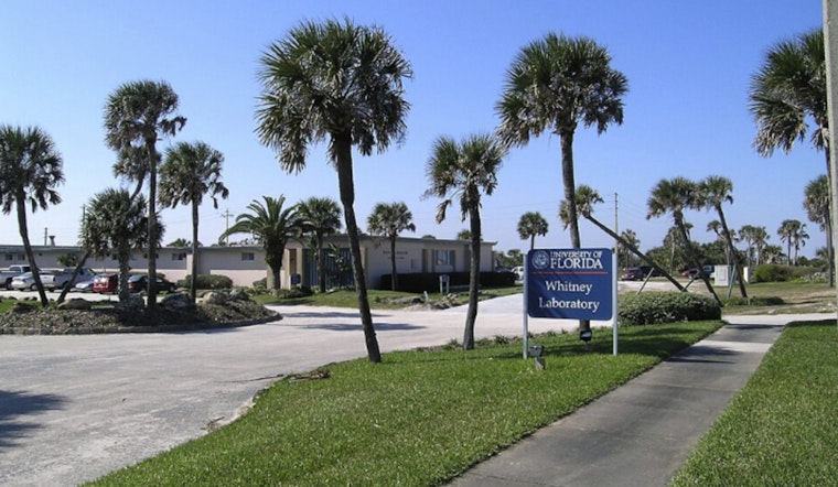 UF Splashes Out $41 Million on Marineland Marine Lab and Sea Turtle Hospital