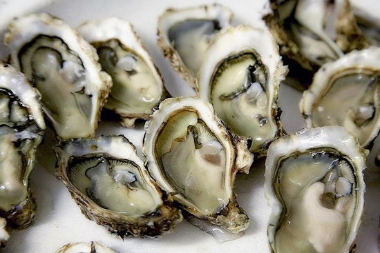 UNC Study Says N.C. Oyster Reefs Are Nitrogen Gold Mines