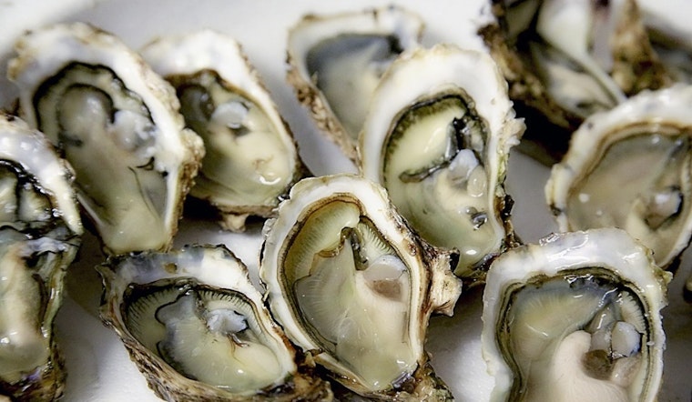 UNC Study Says N.C. Oyster Reefs Are Nitrogen Gold Mines