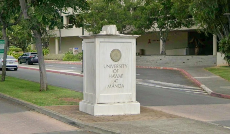 University Of Hawaiʻi Maunakea Sleuths Pin Down Rare Brown Dwarf's Age