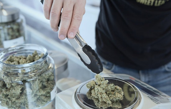 Upper West Side Hits High Mark With New York’s 600th Legal Weed Shop