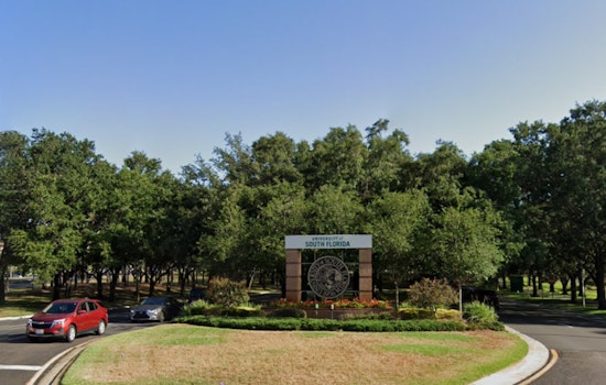 USF Grad Stipends Lag Tampa Rent, Students Say