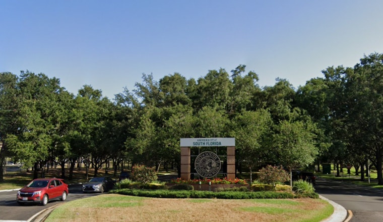 USF Grad Stipends Lag Tampa Rent, Students Say