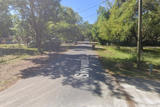 Valrico RV Inferno Sends Brush Fire Racing Toward Backyards