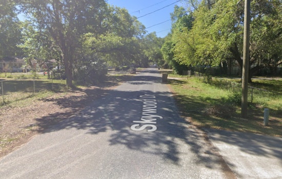 Valrico RV Inferno Sends Brush Fire Racing Toward Backyards