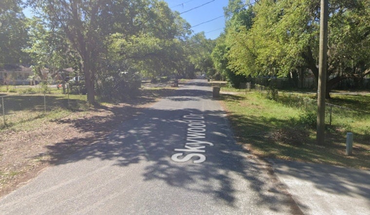 Valrico RV Inferno Sends Brush Fire Racing Toward Backyards