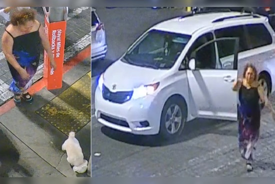 Vegas Cops Hunt Thief Who Snatched Elderly Resident's Service Dog