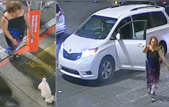 Vegas Cops Hunt Thief Who Snatched Elderly Resident's Service Dog