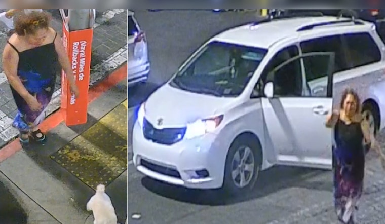 Vegas Cops Hunt Thief Who Snatched Elderly Resident's Service Dog