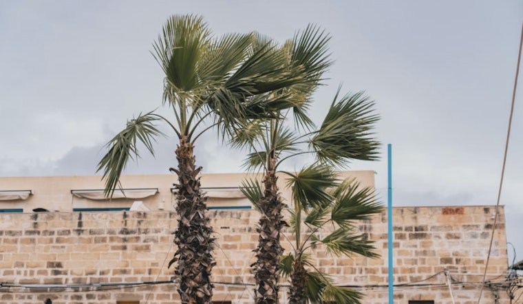 Vegas Gets Blown Sideways By Midday Gusts Before Friday Cooldown