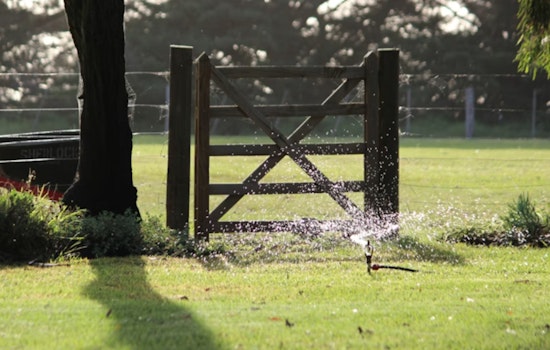 Vegas Lawns Face Summer Sprinkler Crackdown Starting May 1