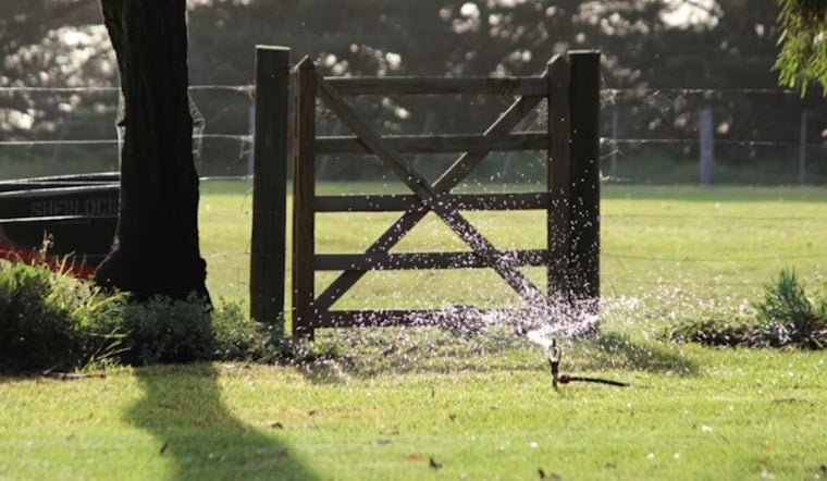 Vegas Lawns Face Summer Sprinkler Crackdown Starting May 1