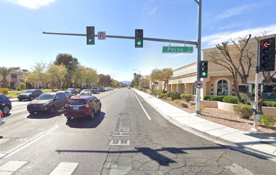 Vegas Man Nabbed After Neighbor’s Cat Found Drowned in Garage
