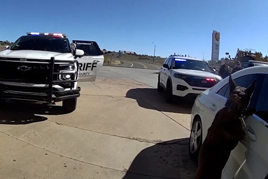 Vegas Mom Busted On I-40, Accused Of Driving High With 3 Kids In Car