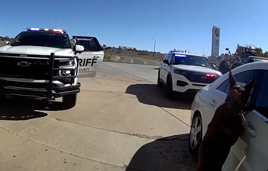 Vegas Mom Busted On I-40, Accused Of Driving High With 3 Kids In Car