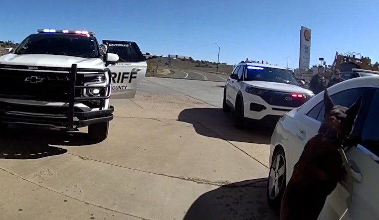 Vegas Mom Busted On I-40, Accused Of Driving High With 3 Kids In Car