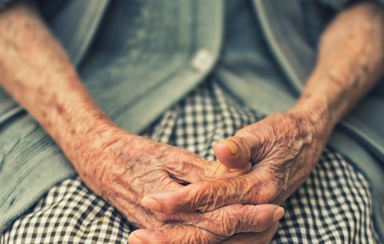 Vernon Hills Eyes $38 Million Senior Living Shake-Up on Milwaukee Avenue