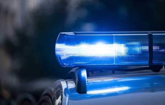 Washington Park Hangout Busted as Cops Seize Four Guns, Suspected Cannabis