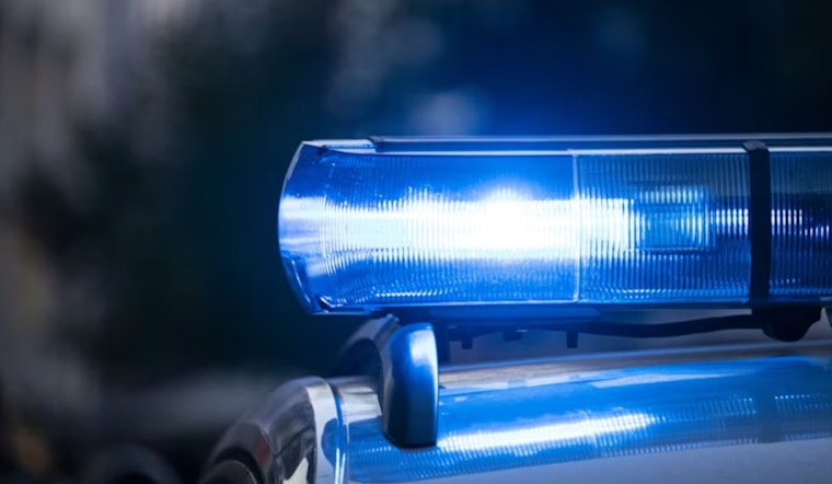 Washington Park Hangout Busted as Cops Seize Four Guns, Suspected Cannabis