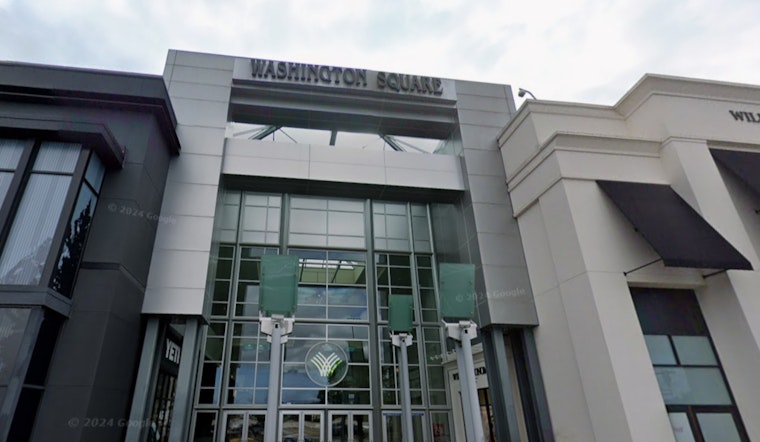 Smash-And-Grab Chaos As Armed Robbers Hit Washington Square Mall