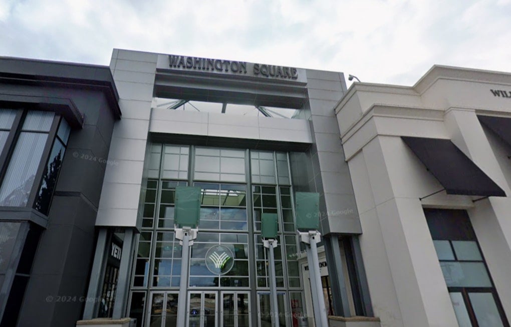 Smash-And-Grab Chaos As Armed Robbers Hit Washington Square Mall