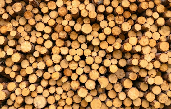Washington Timber Industry Facing Cutbacks As Rules And Tariffs Bite