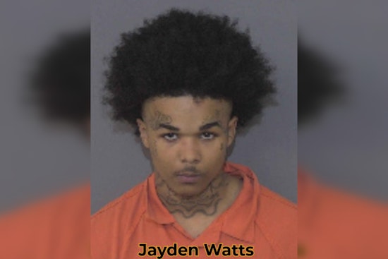 Weed Vape Deal Near Parkwood High Ends In Gunpoint Assault, Two Nabbed
