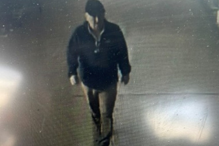 Wesley Chapel Block Stunned As Deputy, Trapper Wrestle Big Gator In Driveway