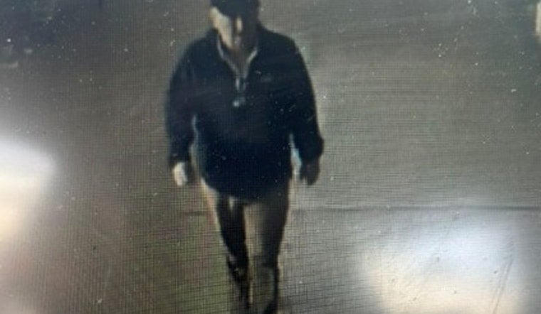 Wesley Chapel Block Stunned As Deputy, Trapper Wrestle Big Gator In Driveway