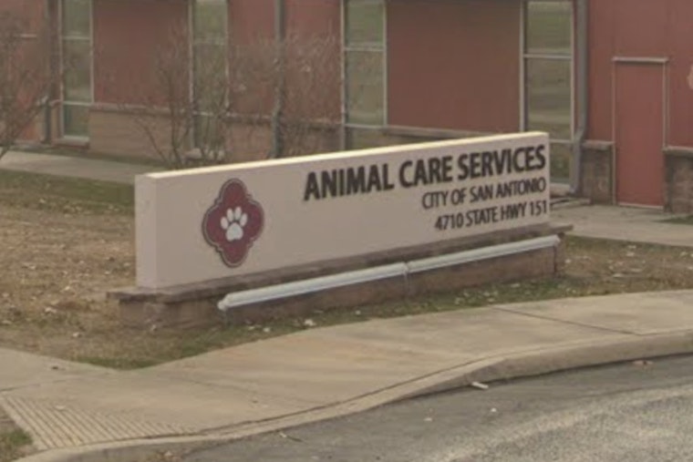 West Side Dog House Of Horrors Leaves City Shelter Begging For Fosters