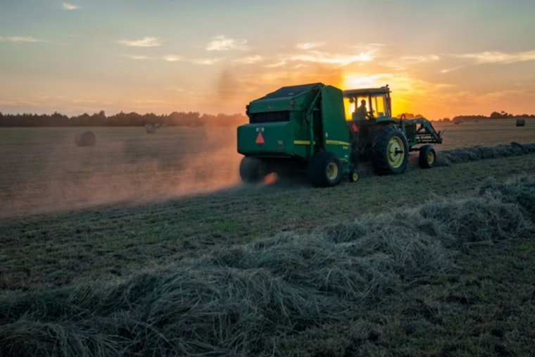 Whatcom Farmer Says Ice Raids Are Gutting Spring Planting Season