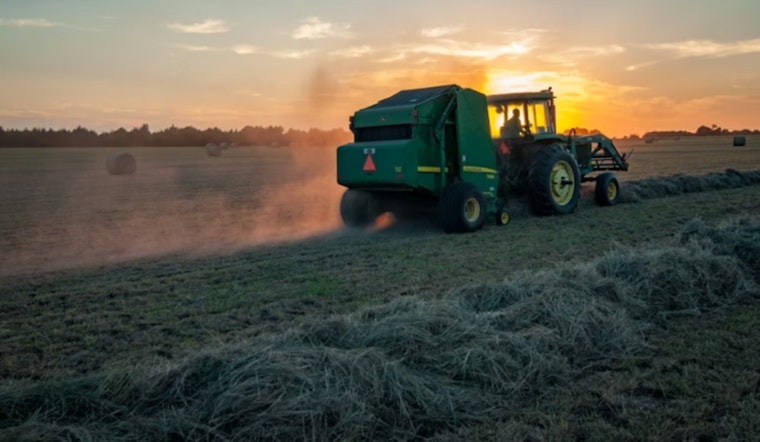 Whatcom Farmer Says Ice Raids Are Gutting Spring Planting Season