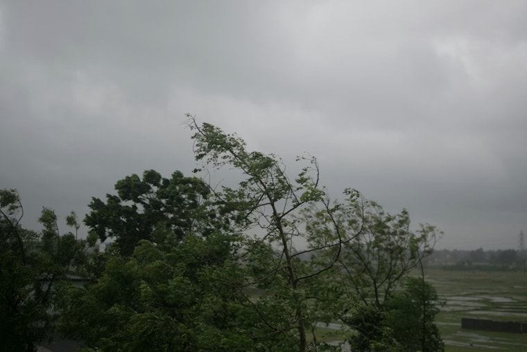 Wild Winds Turn Milwaukee Into A Tangle Of Trees And Blackouts