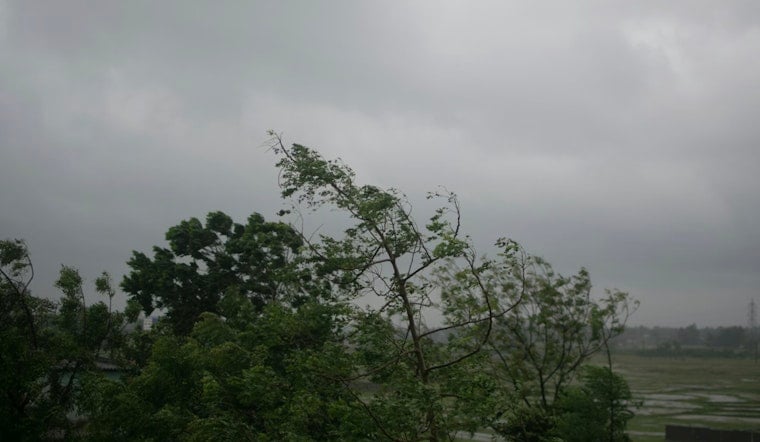 Wild Winds Turn Milwaukee Into A Tangle Of Trees And Blackouts