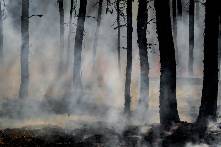 Wildfire Tears Through Brantley County, Destroys 42 Homes