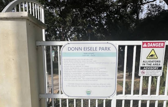 Wilton Manors Neighbors Race To Save Kittens Dumped At Local Park